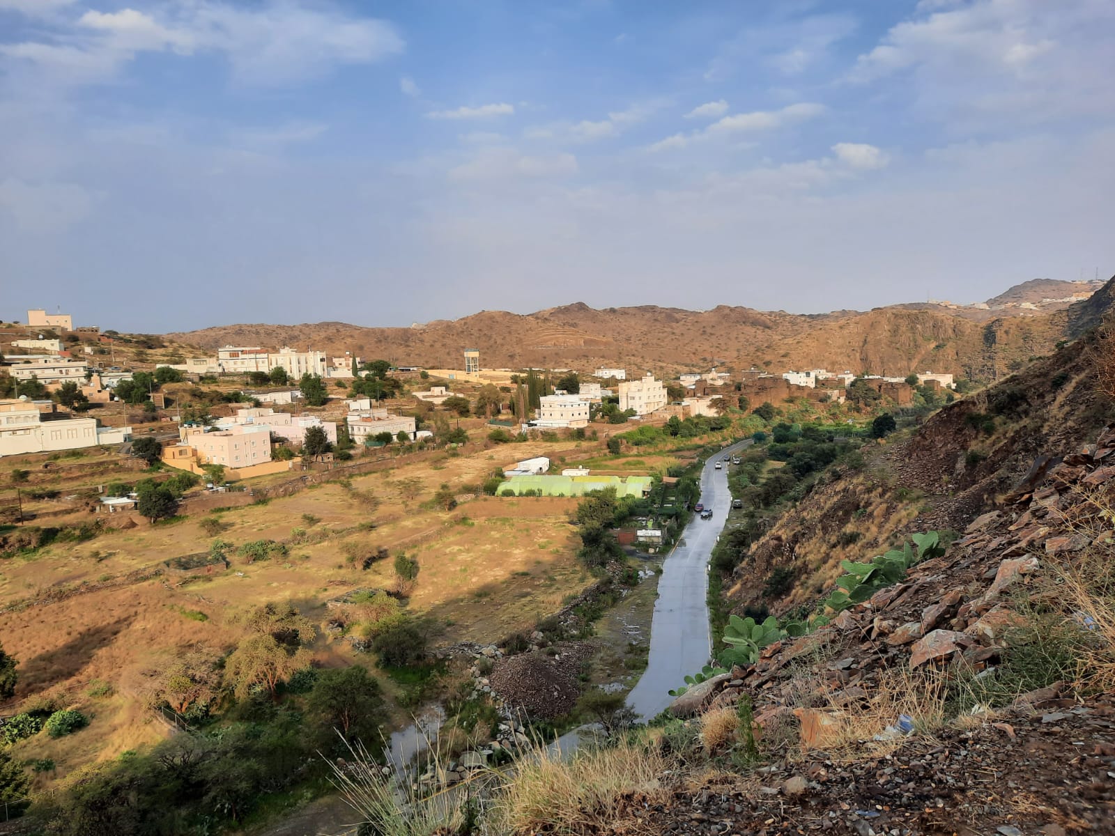جمعية التعاونية متعددة الاغراض بقرية العكاس